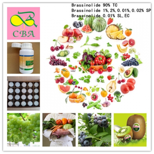 Natural Plant Growth Hormone Regulator Brassinoste...